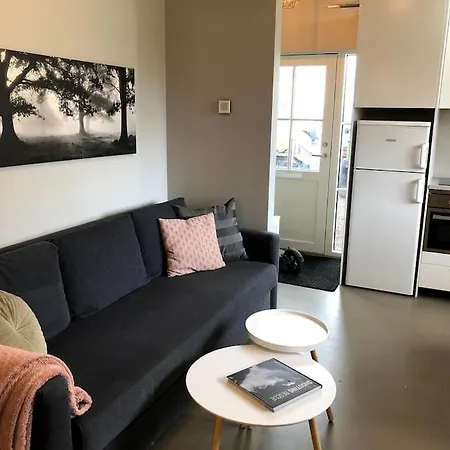 Appartement Adorable One Bedroom With Free Parking. Reykjavik